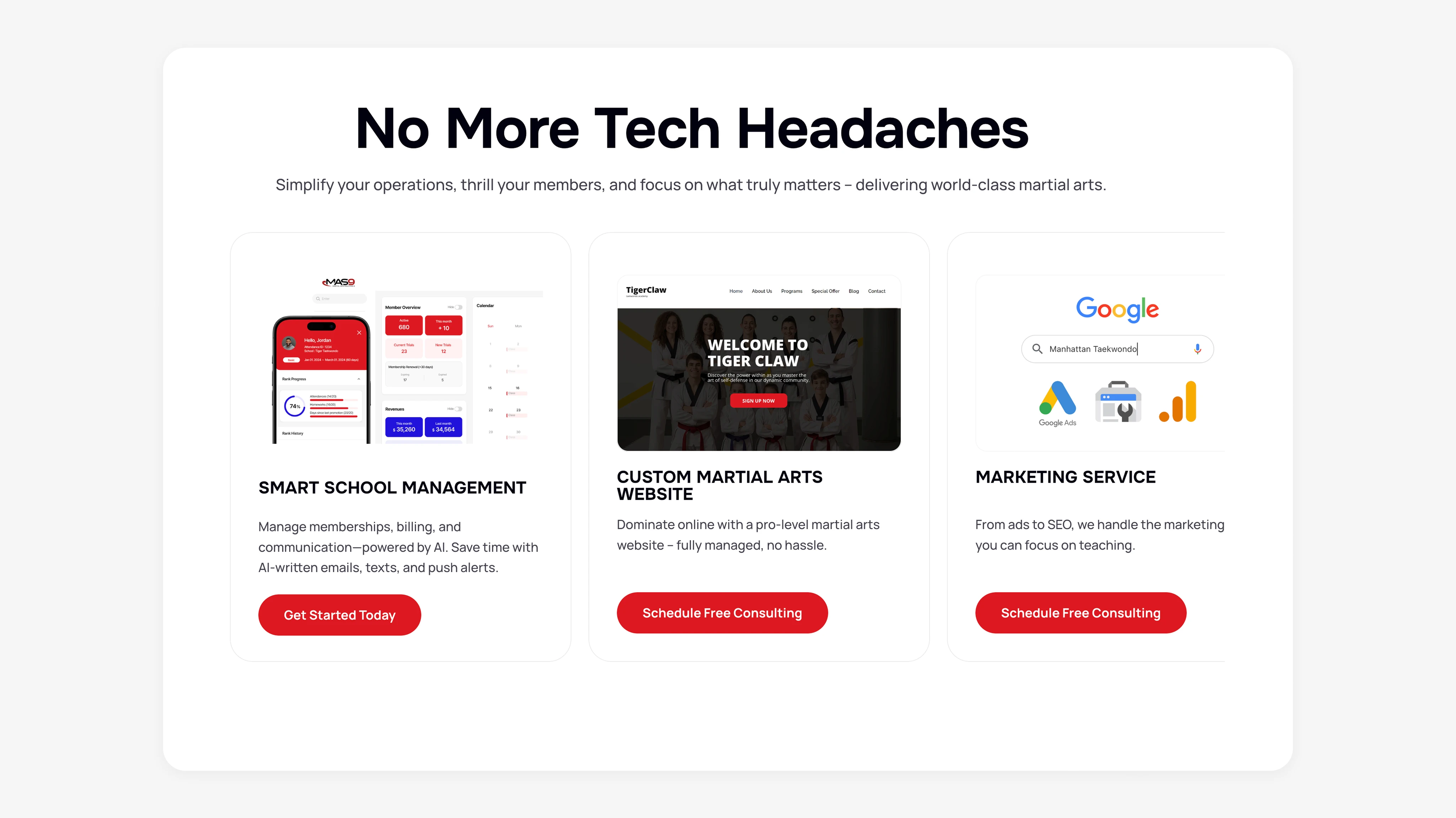 MAS9 homepage section showing three offerings: Smart School Management, Custom Martial Arts Website, and Marketing Service